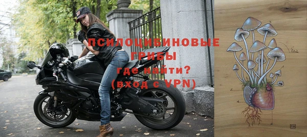 СК Михайлов