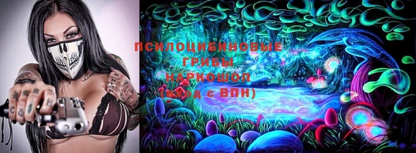 СК Михайлов