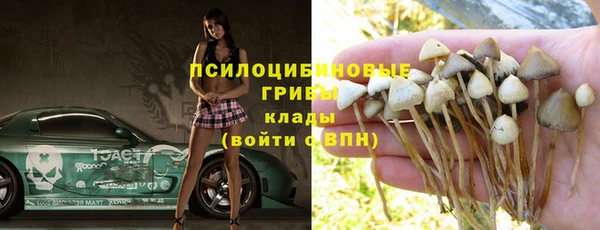 бошки Михайловск