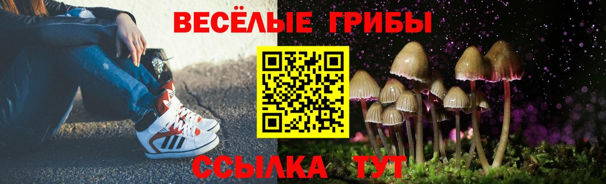 Галлюциногенные грибы Cubensis  Псилоцибиновые грибы мицелий  Советский 