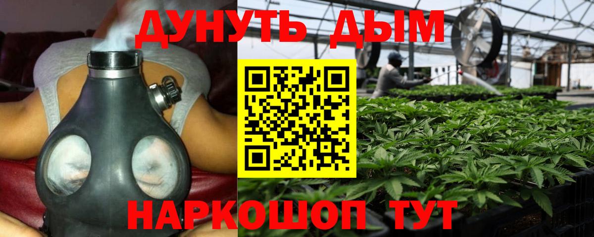 Каннабис план  Советский  Канабис индика  Марихуана Bruce Banner 